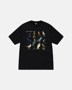 Black / Multicolor Stussy California Birds T Shirts | 7032UZJDV