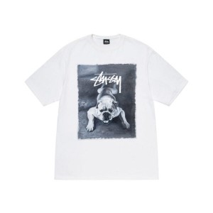 White Stussy Bulldog T Shirts | 9342UVBWI