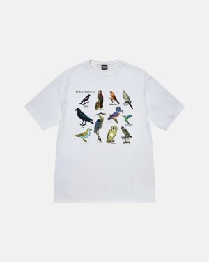 White Stussy California Birds T Shirts | 3641IORYB