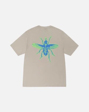 White Stussy Housefly Off T Shirts | 4317GRFUQ