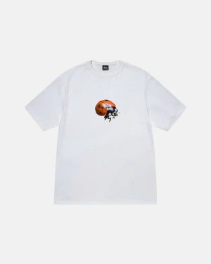 White Stussy Ladybug T Shirts | 9601RKDTZ