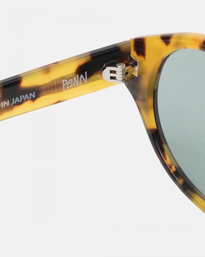 Brown Stussy Penn Sunglasses | 9408LNURT