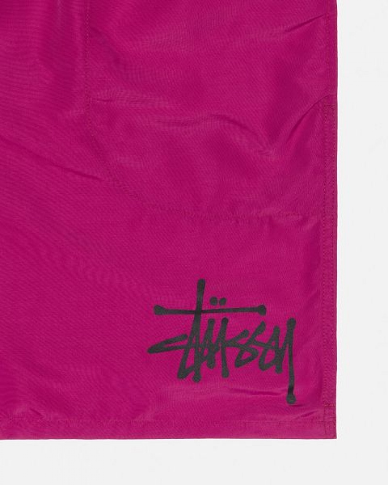 Burgundy Stussy Water Big Basic Shorts | 7519DTROB