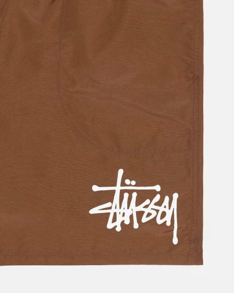 Coffee Stussy Water Big Basic Shorts | 6215AWZLM