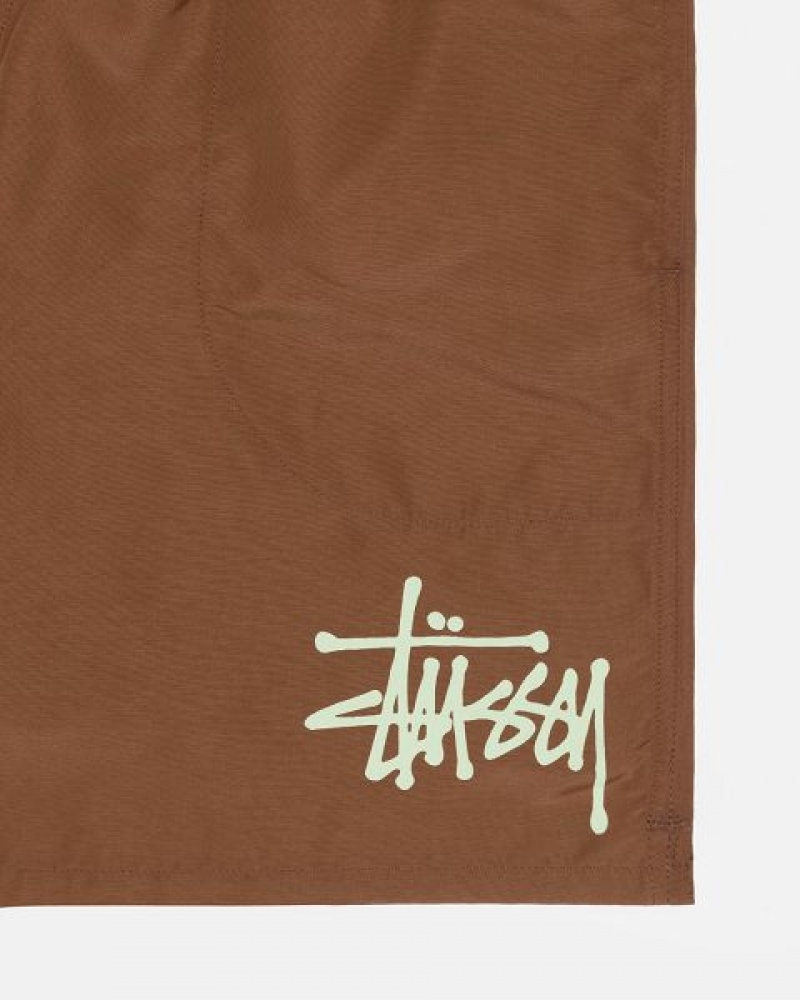 Coffee Stussy Water Big Basic Shorts | 7801JDXNE