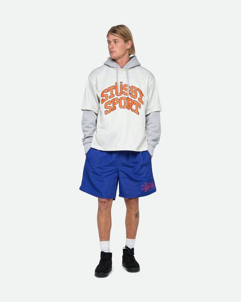 Royal Stussy Water Big Basic Shorts | 8517GSUKL